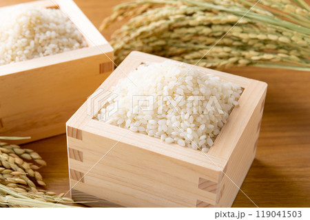 枡に盛られた白米 119041503