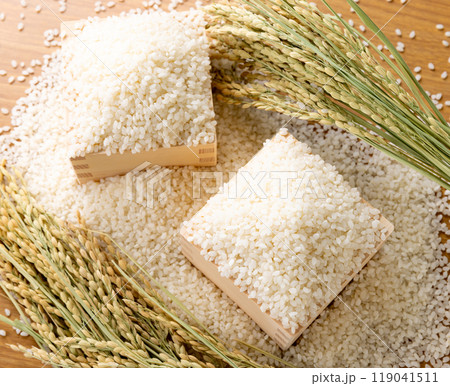 枡に盛られた白米 枡に盛られた白米 119041511