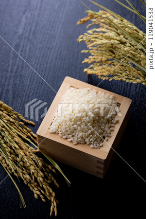 新米　高級 119041538