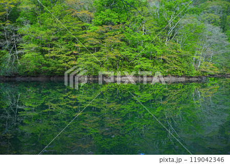 十二湖 十二湖 119042346