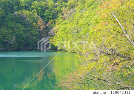 十二湖 十二湖 119042351