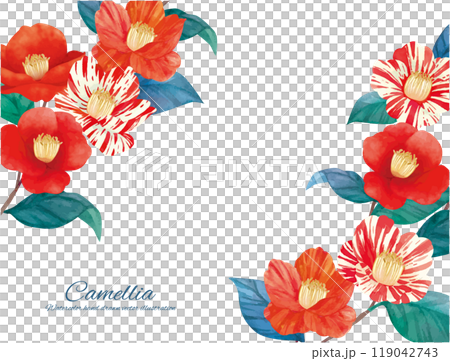 水彩で描いた赤い椿の花のイラストの素材 119042743