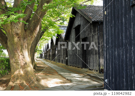 酒田　山居倉庫　米保管倉庫散策 119042982