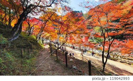 香嵐渓（秋） 119042993