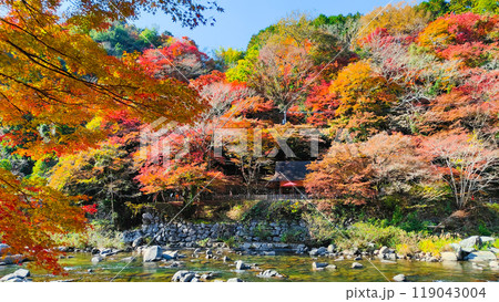 香嵐渓（秋） 119043004