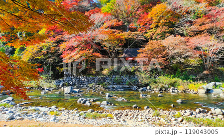 香嵐渓(秋) 香嵐渓(秋) 119043005