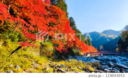 香嵐渓（秋） 119043053