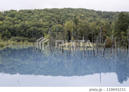 秋の北海道の観光地 119043231