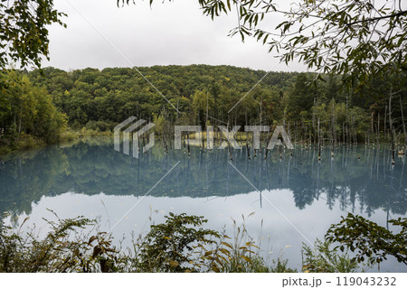 秋の北海道の観光地 119043232