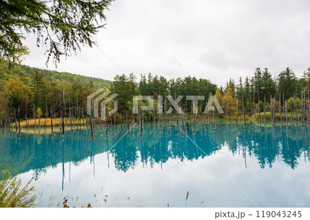 秋の北海道の観光地 119043245