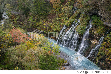 秋の北海道の観光地 119043254