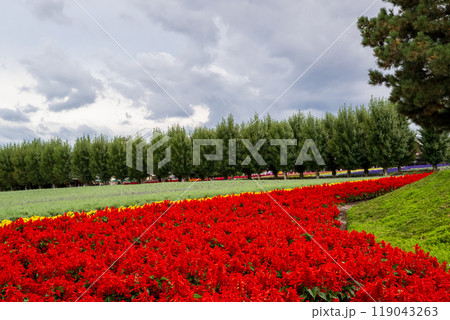 秋の北海道の観光地 119043263