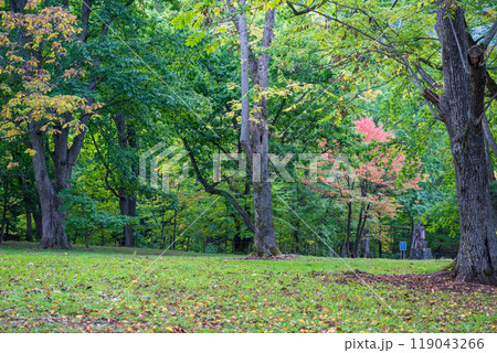 秋の北海道の観光地 119043266