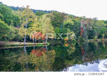 秋の北海道の観光地 秋の北海道の観光地 119043267