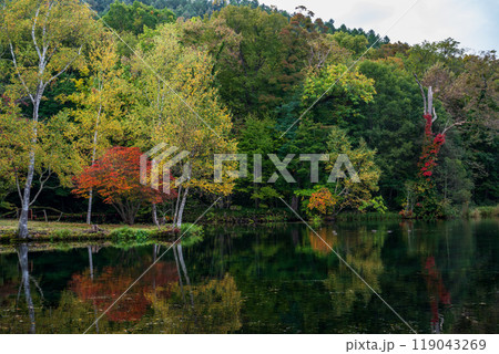 秋の北海道の観光地 119043269