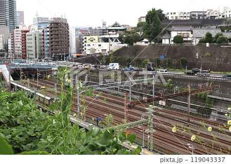 権現山より京急、JRの線路を望む（神奈川県横浜市神奈川区幸ケ谷） 119043337