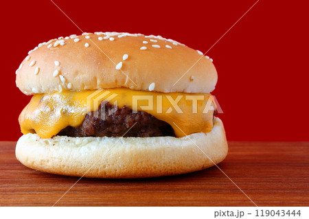 シンプルなチーズバーガー 119043444