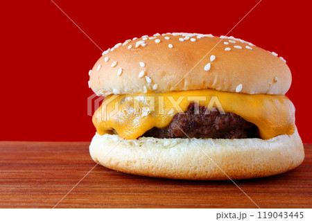 シンプルなチーズバーガー シンプルなチーズバーガー 119043445