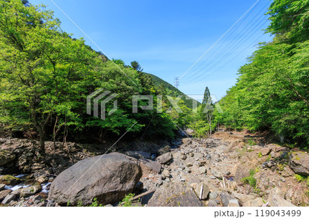 林道の終点付近。巨大な落石が転がる渓流の河原  日本国神奈川県相模原市、早戸川林道にて 2024年 119043499