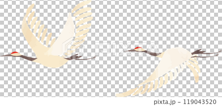 Illustration of two cranes flying in the sky Illustration of two cranes flying in the sky 119043520