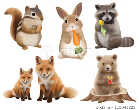 森の動物素材セット 119043829