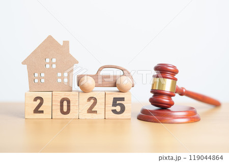 Happy New Year 2025 with house and Car model and gavel justice hammer on desk in courthouse. Real Estate and Car Law, Home Insurance, property Tax, Auction and Bidding concepts 119044864