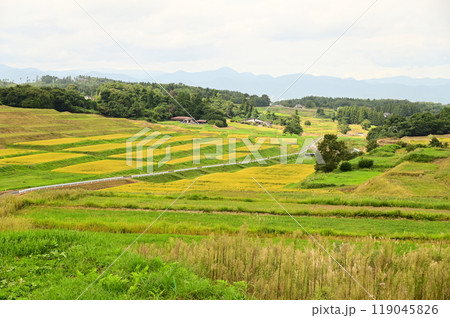 遠野宮守の棚田 119045826