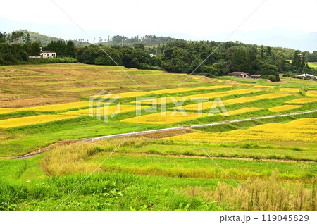 遠野宮守の棚田 遠野宮守の棚田 119045829