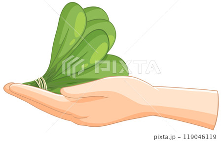 Hand Holding Fresh Green Spinach Leaves Hand Holding Fresh Green Spinach Leaves 119046119