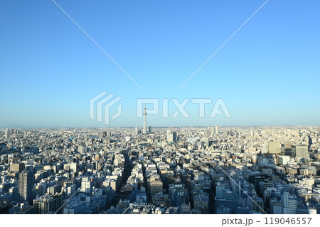 東京を見渡す 東京を見渡す 119046557