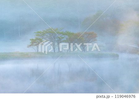 朝霧に包まれる赤城山・覚満淵【群馬県】 119046976