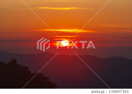 赤城山・鳥居峠からの夜明け 119047163