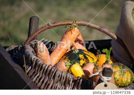 Rustic wicker basket filled with freshly harvested carrots and colorful squash in an outdoor setting Rustic wicker basket filled with freshly harvested carrots and colorful squash in an outdoor setting 119047336