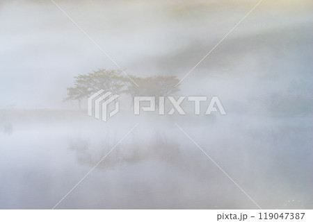 朝霧に包まれる赤城山・覚満淵【群馬県】 朝霧に包まれる赤城山・覚満淵【群馬県】 119047387