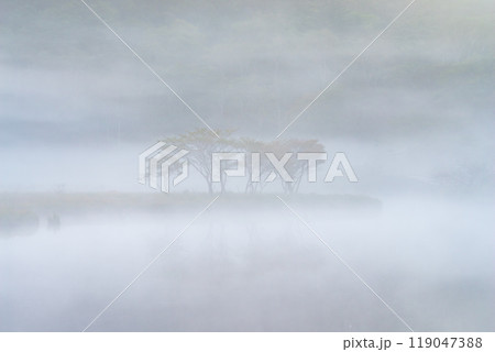 朝霧に包まれる赤城山・覚満淵【群馬県】 119047388