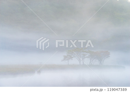 朝霧に包まれる赤城山・覚満淵【群馬県】 朝霧に包まれる赤城山・覚満淵【群馬県】 119047389
