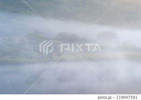 朝霧に包まれる赤城山・覚満淵【群馬県】 119047391