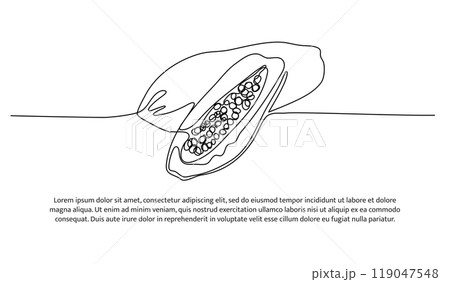 Papaya one continuous line design. Fruits symbol design concept. Decorative elements drawn on a white background. 119047548