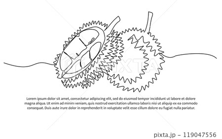Durian one continuous line design. Fruits symbol design concept. Decorative elements drawn on a white background. 119047556