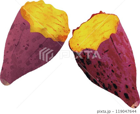 秋　さつまいも　焼き芋　秋の味覚　水彩　手描き　イラスト素材 119047644