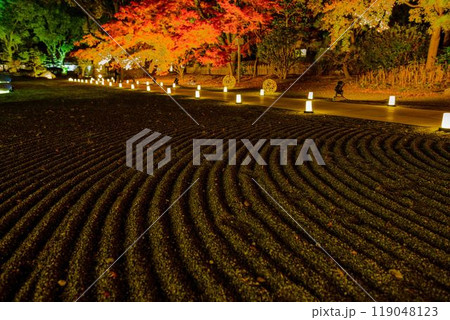 幻想的で美しい日本庭園 ライトアップ紅葉風景「旧細川刑部邸限定公開と紅葉ライトアップ」(熊本市) 幻想的で美しい日本庭園 ライトアップ紅葉風景「旧細川刑部邸限定公開と紅葉ライトアップ」(熊本市) 119048123