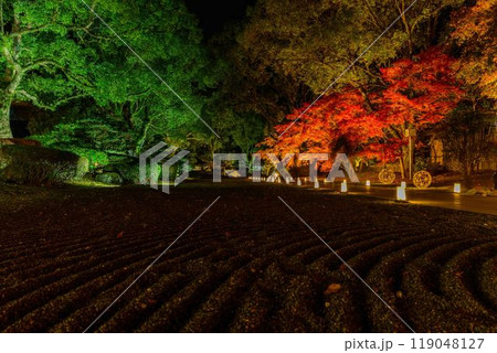 幻想的で美しい日本庭園 ライトアップ紅葉風景「旧細川刑部邸限定公開と紅葉ライトアップ」(熊本市) 幻想的で美しい日本庭園 ライトアップ紅葉風景「旧細川刑部邸限定公開と紅葉ライトアップ」(熊本市) 119048127