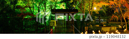 幻想的で美しい日本庭園 ライトアップ紅葉風景「旧細川刑部邸限定公開と紅葉ライトアップ」(熊本市) 幻想的で美しい日本庭園 ライトアップ紅葉風景「旧細川刑部邸限定公開と紅葉ライトアップ」(熊本市) 119048132