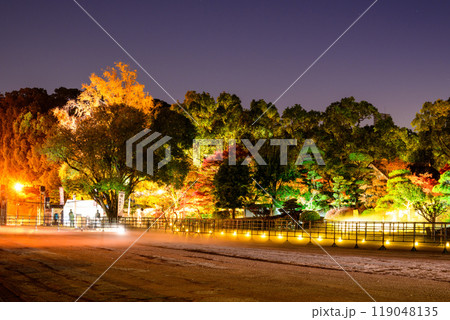 幻想的で美しい日本庭園　ライトアップ紅葉風景「旧細川刑部邸限定公開と紅葉ライトアップ」(熊本市) 119048135