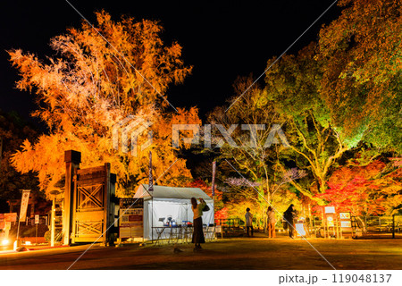 幻想的で美しい日本庭園 ライトアップ紅葉風景「旧細川刑部邸限定公開と紅葉ライトアップ」(熊本市) 幻想的で美しい日本庭園 ライトアップ紅葉風景「旧細川刑部邸限定公開と紅葉ライトアップ」(熊本市) 119048137