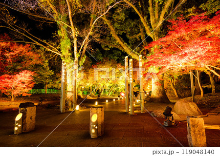 幻想的で美しい日本庭園 ライトアップ紅葉風景「旧細川刑部邸限定公開と紅葉ライトアップ」(熊本市) 幻想的で美しい日本庭園 ライトアップ紅葉風景「旧細川刑部邸限定公開と紅葉ライトアップ」(熊本市) 119048140