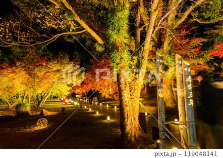 幻想的で美しい日本庭園　ライトアップ紅葉風景「旧細川刑部邸限定公開と紅葉ライトアップ」(熊本市) 119048141
