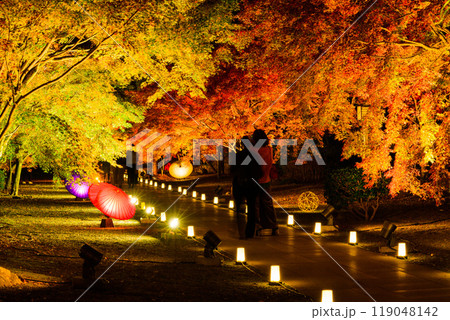 幻想的で美しい日本庭園　ライトアップ紅葉風景「旧細川刑部邸限定公開と紅葉ライトアップ」(熊本市) 119048142