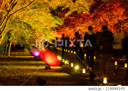 幻想的で美しい日本庭園 ライトアップ紅葉風景「旧細川刑部邸限定公開と紅葉ライトアップ」(熊本市) 幻想的で美しい日本庭園 ライトアップ紅葉風景「旧細川刑部邸限定公開と紅葉ライトアップ」(熊本市) 119048143