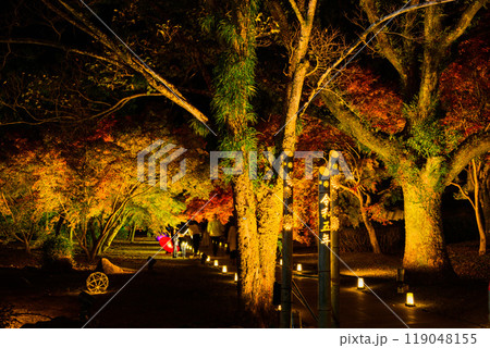 幻想的で美しい日本庭園　ライトアップ紅葉風景「旧細川刑部邸限定公開と紅葉ライトアップ」(熊本市) 119048155